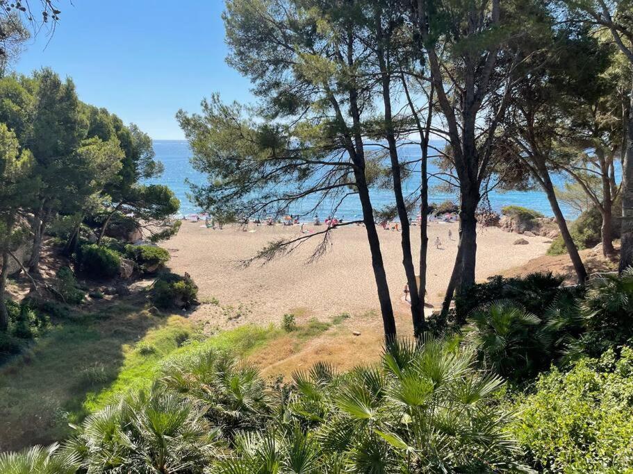 Precioso Apto Miami Primera Linia Playa Cala De Las Sirenas, Con Wifi Y Netflix, Adecuado Para Teletrabajar Miami Playa Extérieur photo